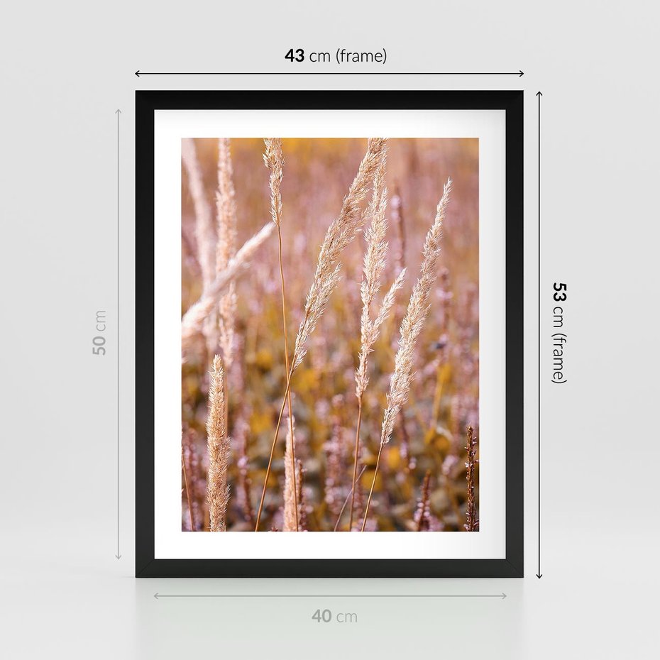 Plakat w ramie 40x50 - Sucha Trawa w Sierpniu - trawy, łąka - rama czarna