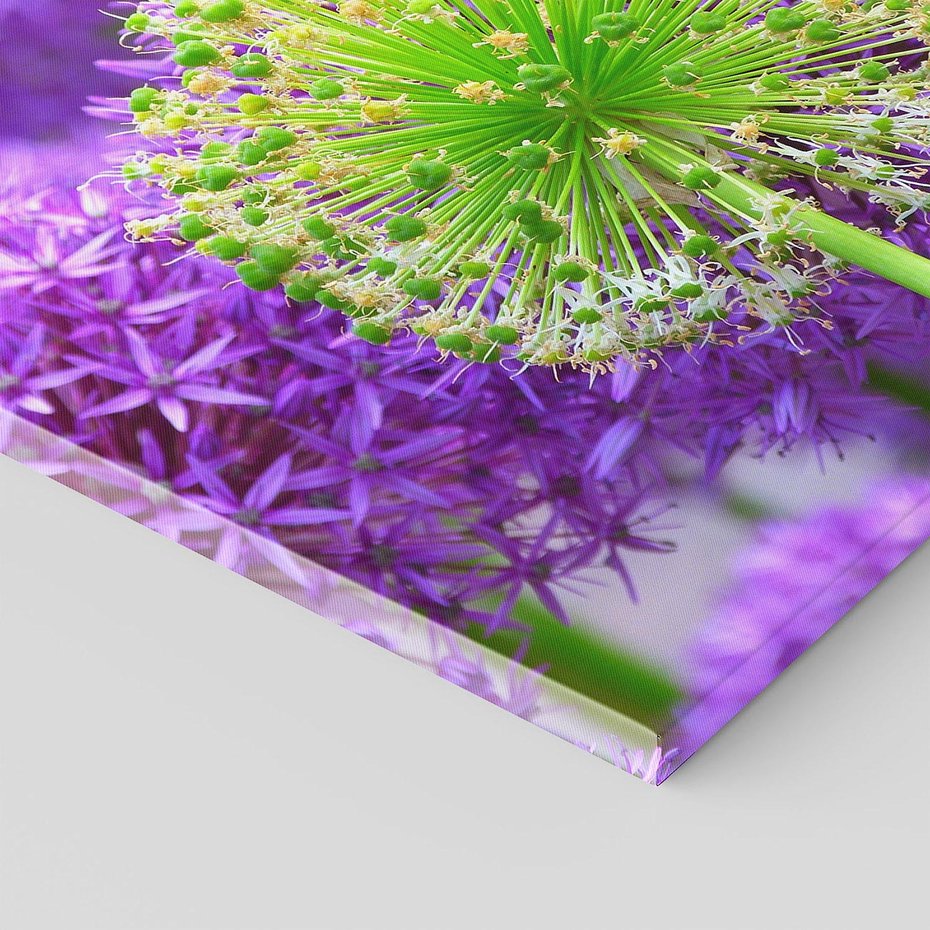 Obraz na płótnie 50x50 - Kwiatowy Raj - kwiat, kwiaty