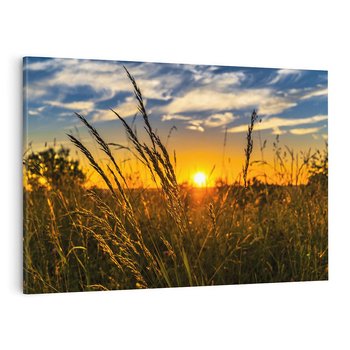 Obraz na płótnie 70x50 - "Zachód Słońca, Łąka - Magiczna Aura - zachód, słońca