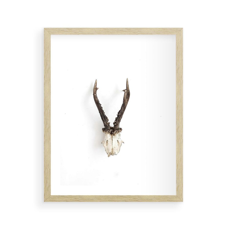 Plakat w ramie 40x50 - Minimalistyczne Poroże Jelenia - poroże jelenia na ścianie, minimalizm - rama drewno