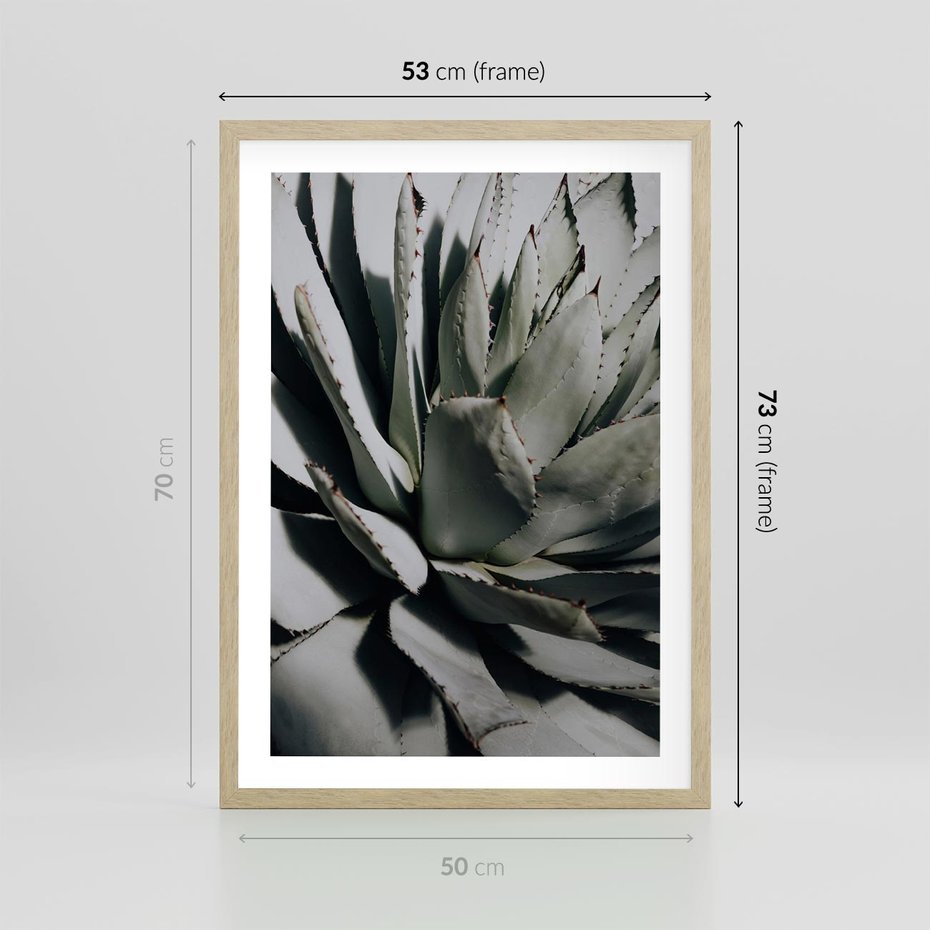 Plakat w ramie 50x70 - Sukulenty wśród kaktusów - sukulenty, kaktusy - rama drewno