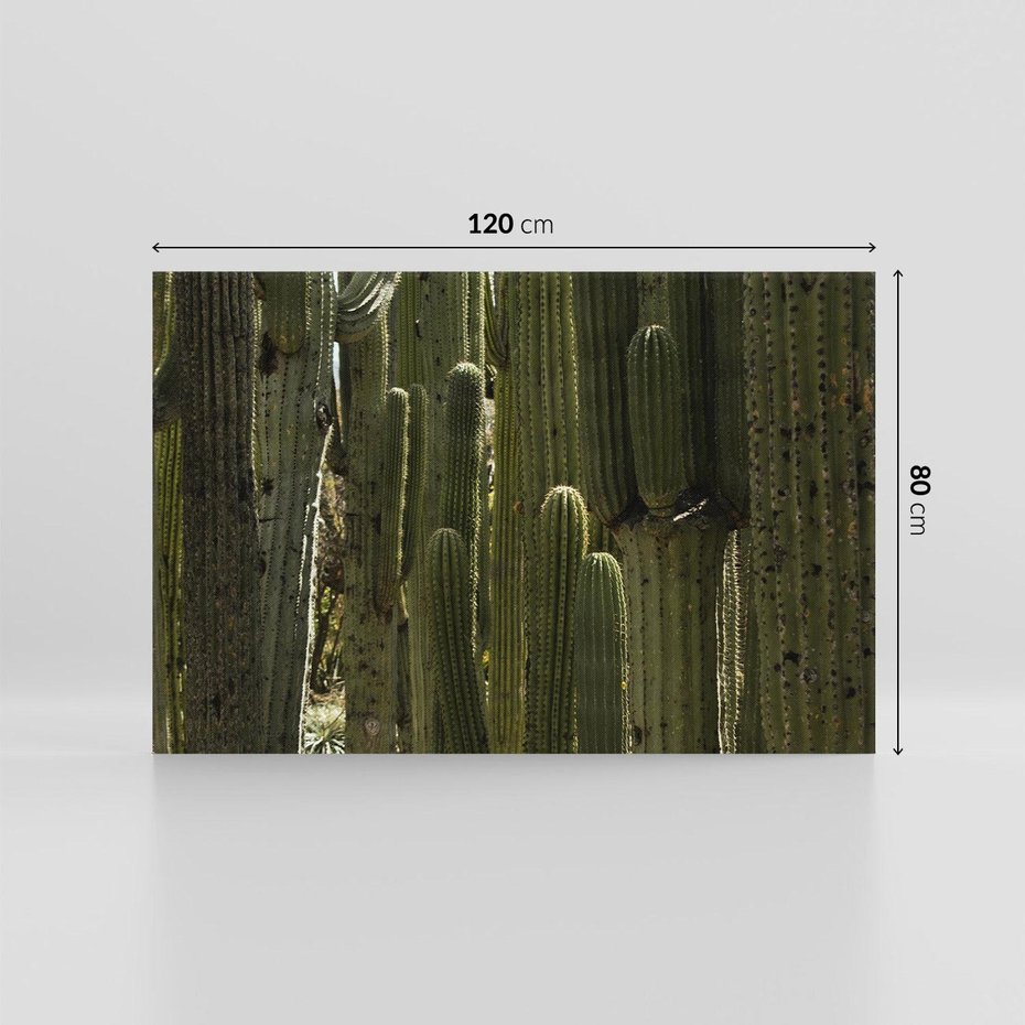 Obraz na płótnie 120x80 - Wyjątkowy Klimat Boho - kaktusy, pustynia