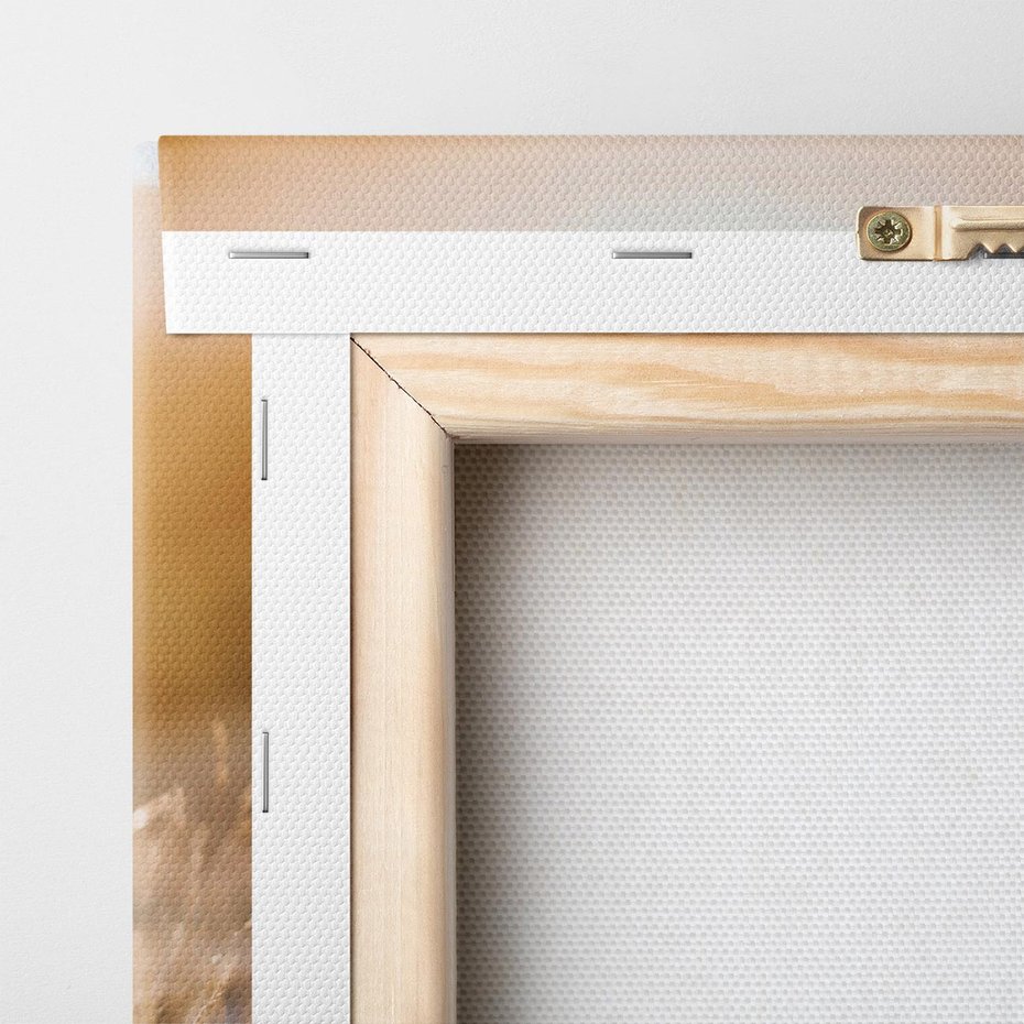 Obraz na płótnie 50x50 - Podróżniczy bukiet na łące - plecak, podróż