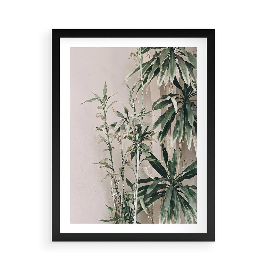 Plakat w ramie 50x70 - Egzotyczna Kompozycja - liście, rośliny tropikalne na tle ściany - rama czarna