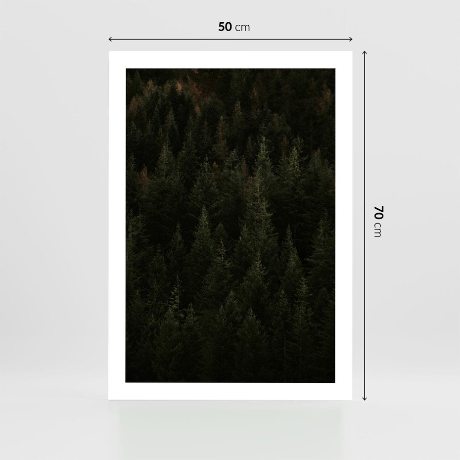 Plakat bez ramy 50x70 - Ciemny las iglasty - las, iglasty
