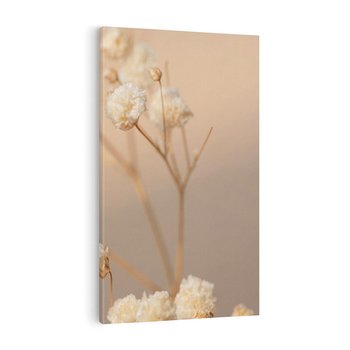 Obraz na płótnie 70x100 - Subtelna gipsówka - gipsówka, suche
