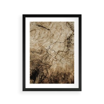 Plakat w ramie 30x40 - Słoje Natury - słoje drzewa, pieńdrzewa - rama czarna