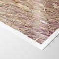 Plakat bez ramy 30x40 - Suche Trawy w Wyjątkowym Stylu - suche trawy, boho styl