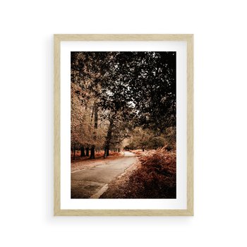 Plakat w ramie 40x50 - Magia Jesieni: Pejzaż Parku w Odcieniach Żółci - jesień, park - rama drewno