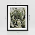 Plakat w ramie 40x50 - Kaktusowa Harmonia - kaktusy, fotografia - rama czarna