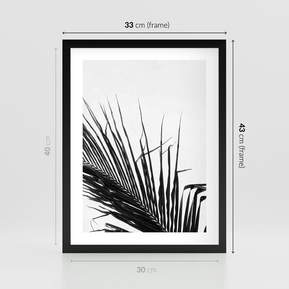Plakat w ramie 30x40 - Sztuka Natury: Monochromatyczna Palma - palma, czarno białe zdjęcie - rama czarna