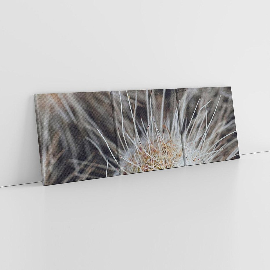 Obraz na płótnie 120x40 - Ulotna Piękność Natury - makro, dmuchawce