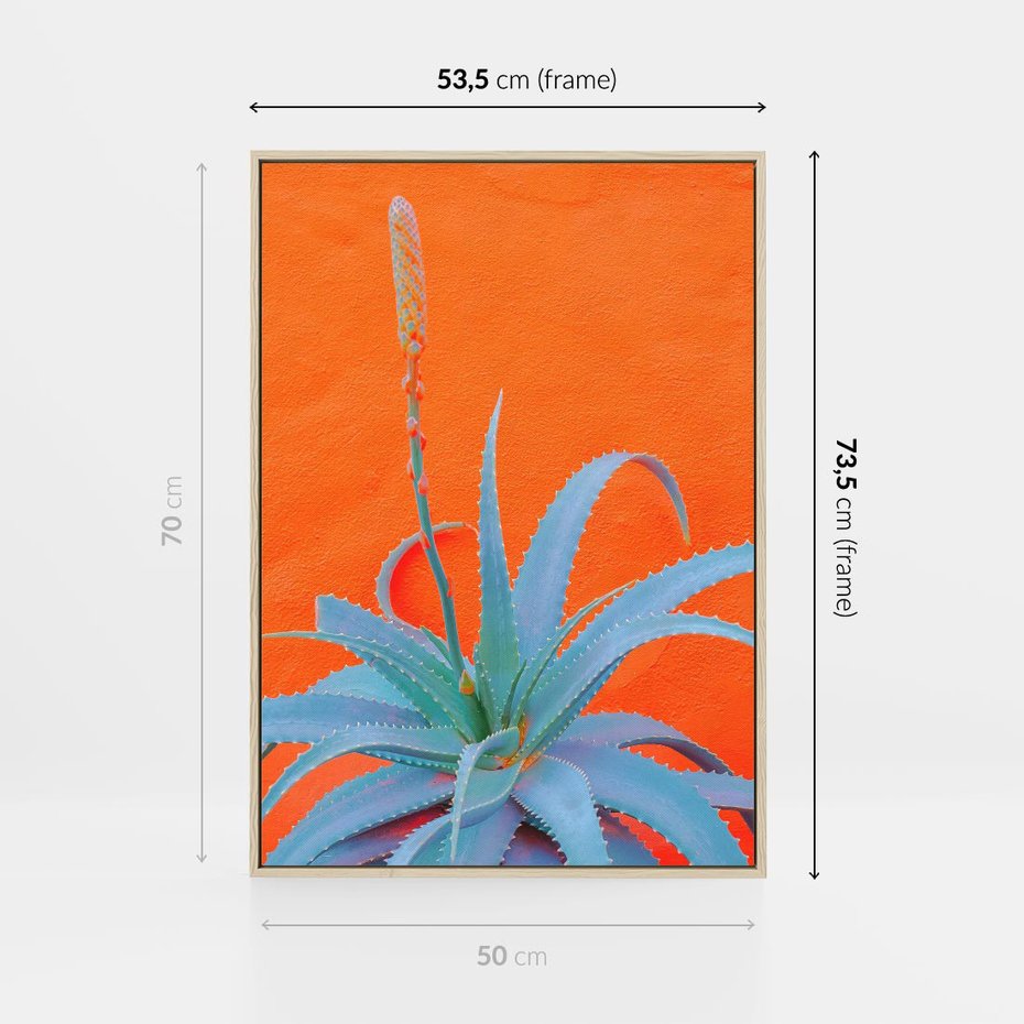 Obraz w ramie 50x70 - Naturalna Harmonia - kaktusy, liście - rama drewno