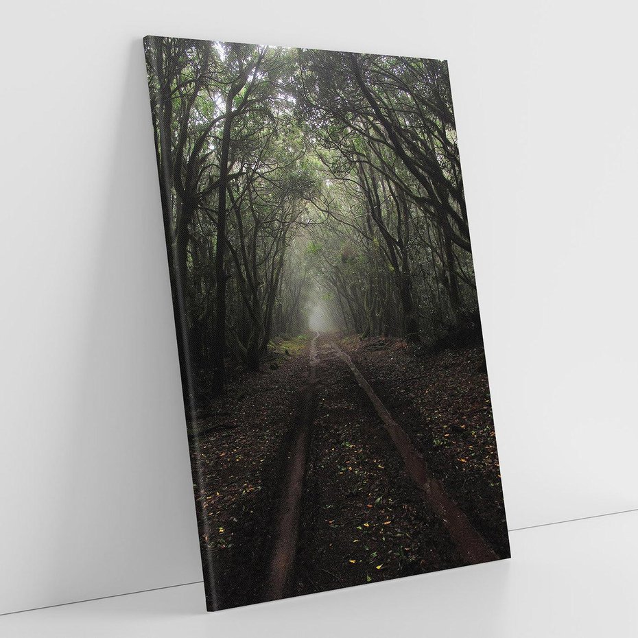 Obraz na płótnie 50x70 - Urok Drogi - las, droga