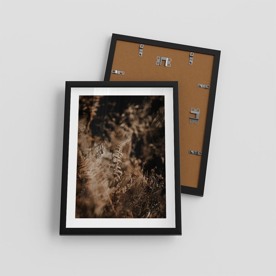 Plakat w ramie 30x40 - Delikatne Detale - paprocie, brąz - rama czarna