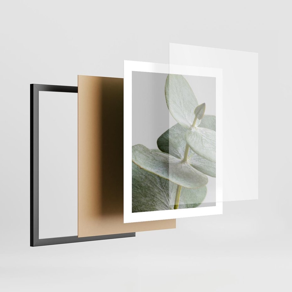 Plakat w ramie 40x50 - Eukaliptusowa zieleń - eukaliptus, zielone - rama czarna