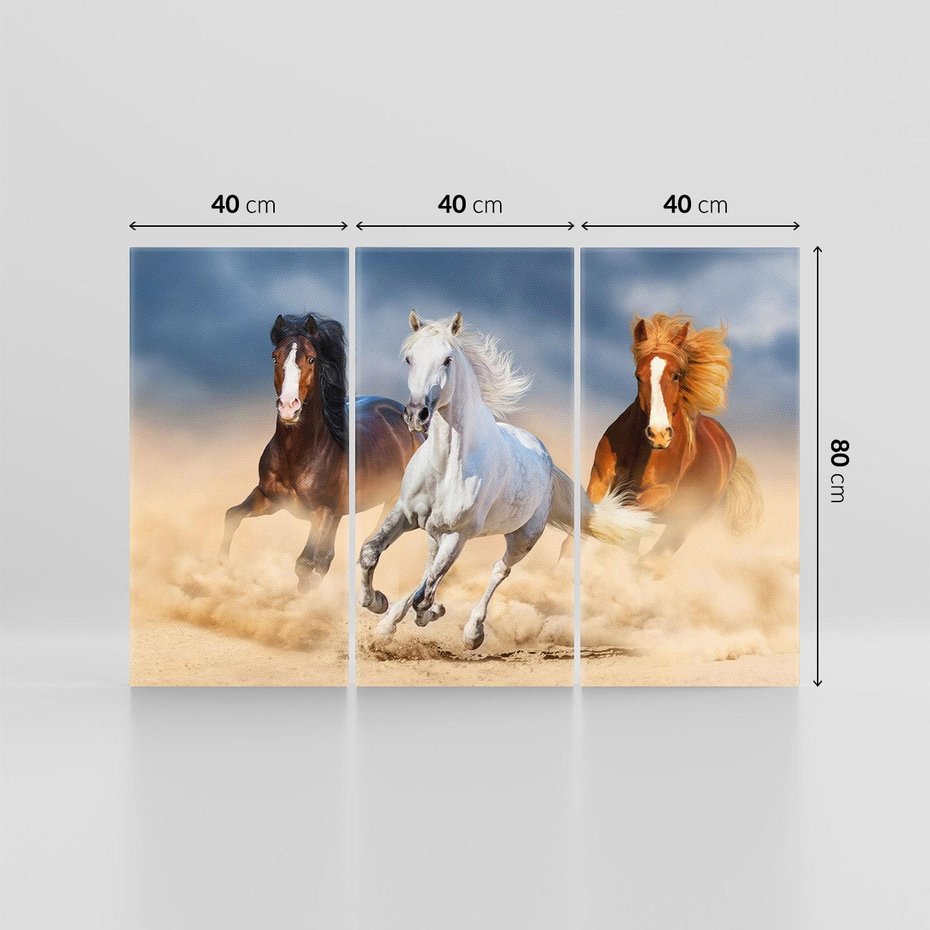 Obraz na płótnie 120x80 - Siła i elegancja - konie, galop