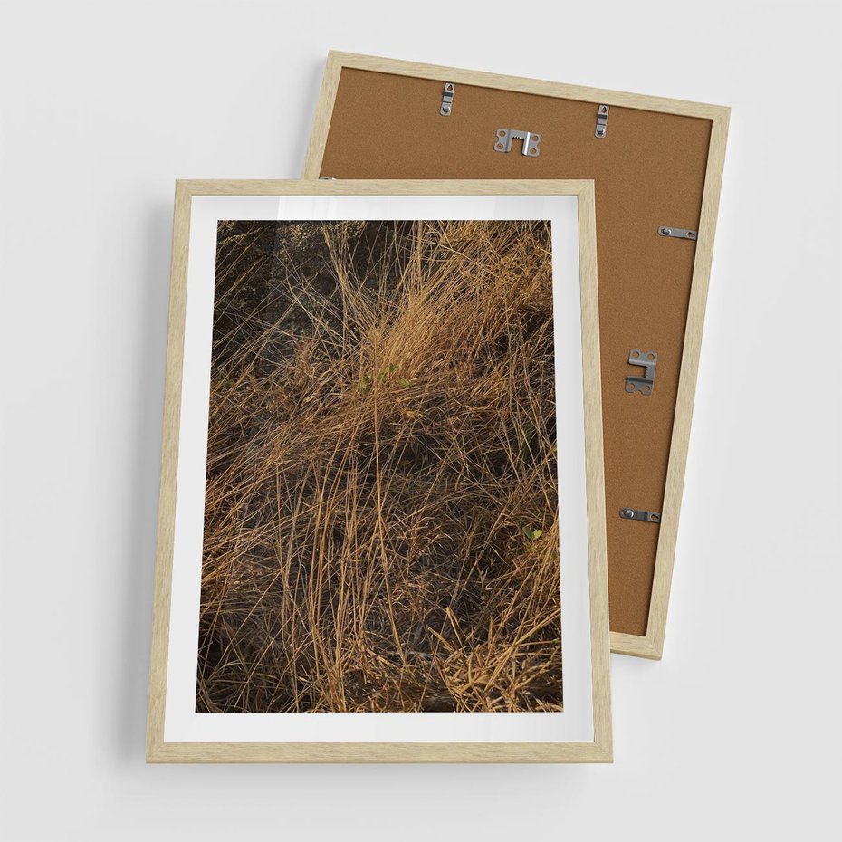 Plakat w ramie 50x70 - Szlachetna Suchość Traw - trawy, suche trawy - rama drewno
