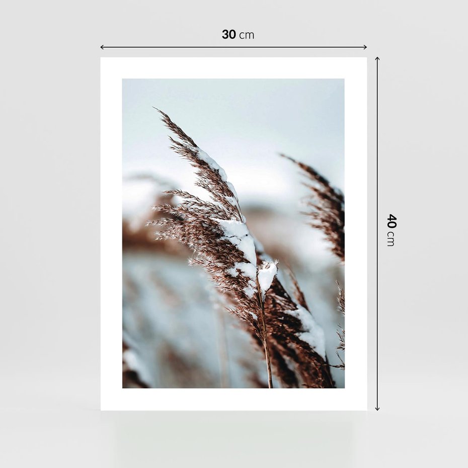 Plakat bez ramy 30x40 - Zima na Suchych Trawach - suche trawy, śnieg wysokich na trawach