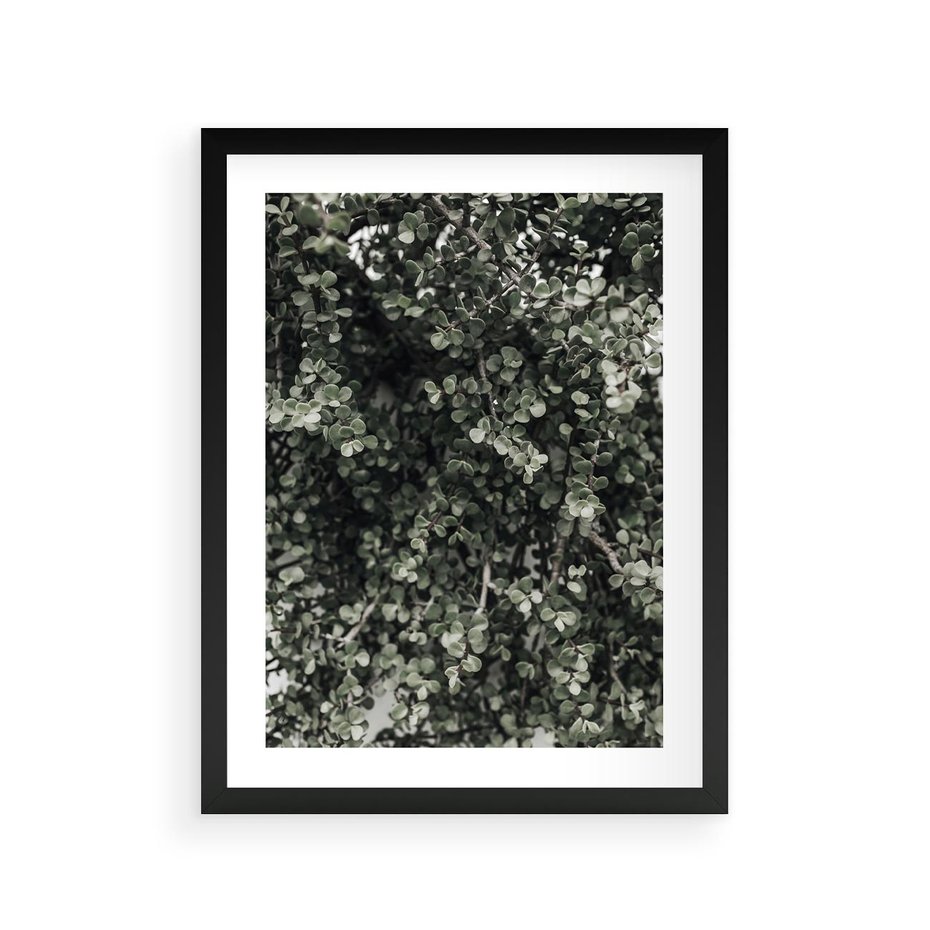 Plakat w ramie 30x40 - Jasnozielone Liście i Gałązki - liście, gałązki - rama czarna