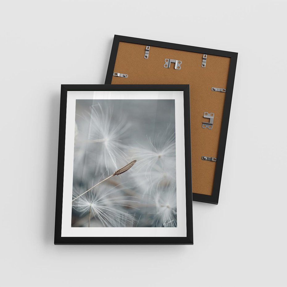 Plakat w ramie 40x50 - Piękno w Delikatności - dmuchawiec, makro zdjęcie - rama czarna
