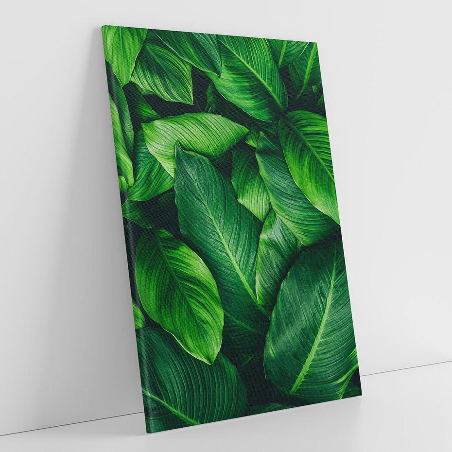 Obraz na płótnie 50x70 - Palma Liście Kwiat - palma, liście