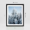 Plakat w ramie 40x50 - Magia Śnieżnych Drzew - zima, iglaste drzewa - rama czarna