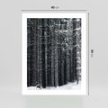 Plakat bez ramy 40x50 - Leśna Cisza: Malowniczy Pejzaż Zimą - las zimą, ośnieżone pnie drzew