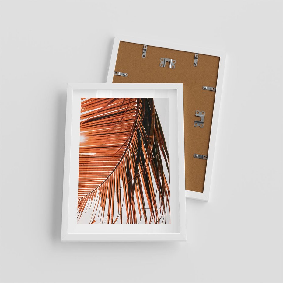 Plakat w ramie 30x40 - Słońce na Palmie - palma, promienie słońca - rama biała