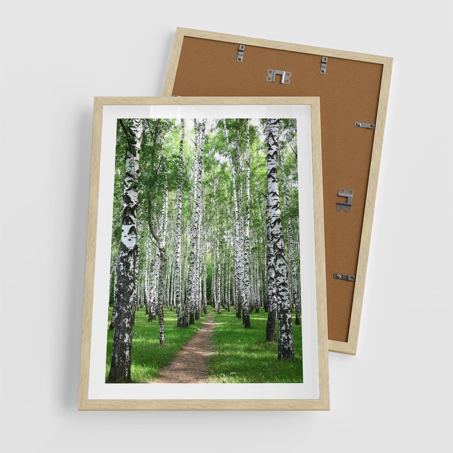 Plakat w ramie 50x70 - Magia lasu pełnego brzóz - las, brzozy - rama drewno