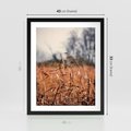 Plakat w ramie 40x50 - Jesienna Melancholia - suche trawy, jesień - rama czarna