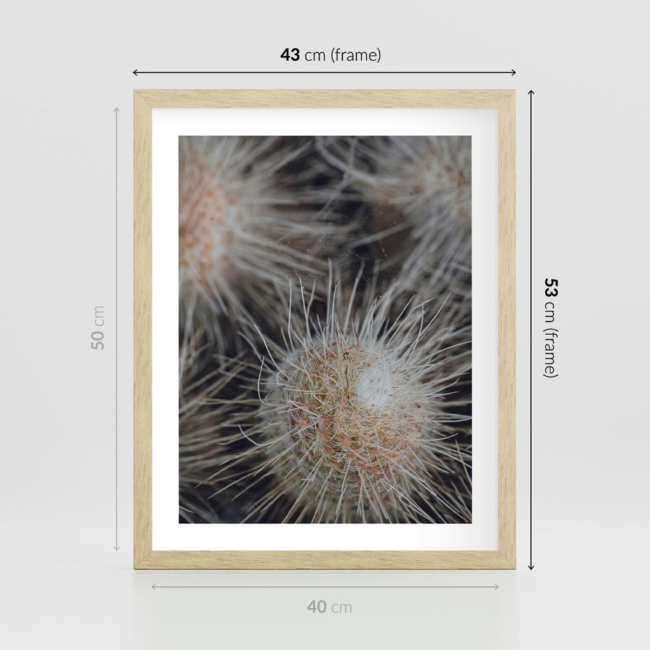 Plakat w ramie 40x50 - Ulotna Piękność Natury - makro, dmuchawce - rama drewno