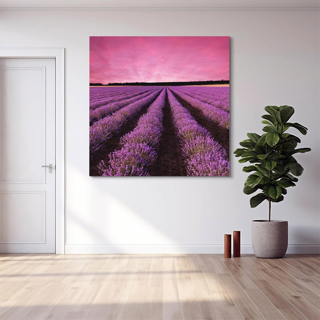 Obraz na płótnie 50x50 - Pola lawendy w pełnym rozkwicie - Lawenda, krajobraz