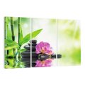 Obraz na płótnie 120x80 - Relaksujący świat SPA z kwiatami i bambusem - spa, kwiaty