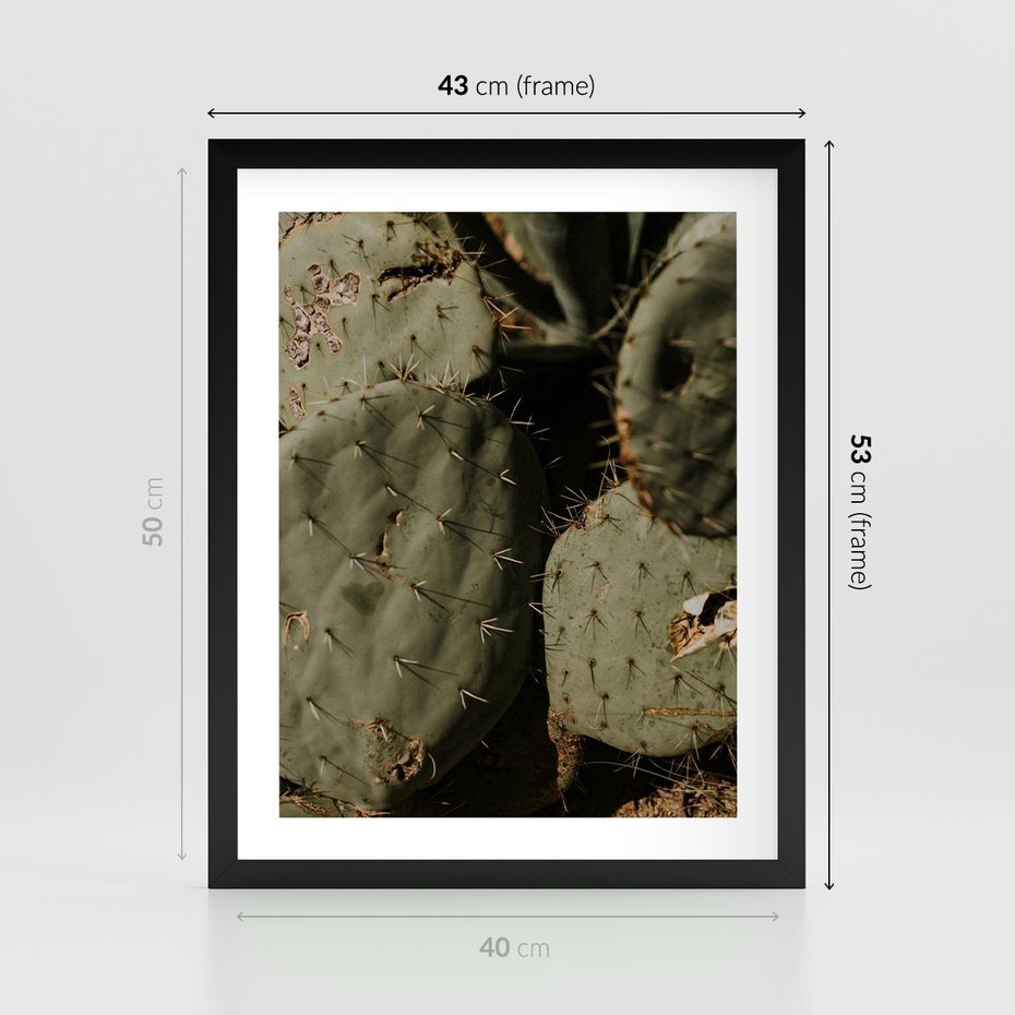 Plakat w ramie 40x50 - Urok Egzotyki - kaktusy, boho - rama czarna