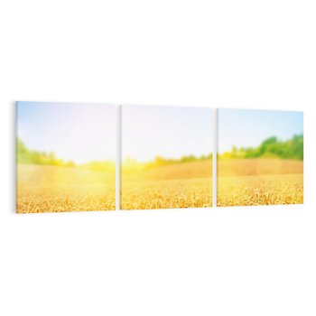 Obraz na płótnie 120x40 - Żyzne Pola - pole, pszenicy