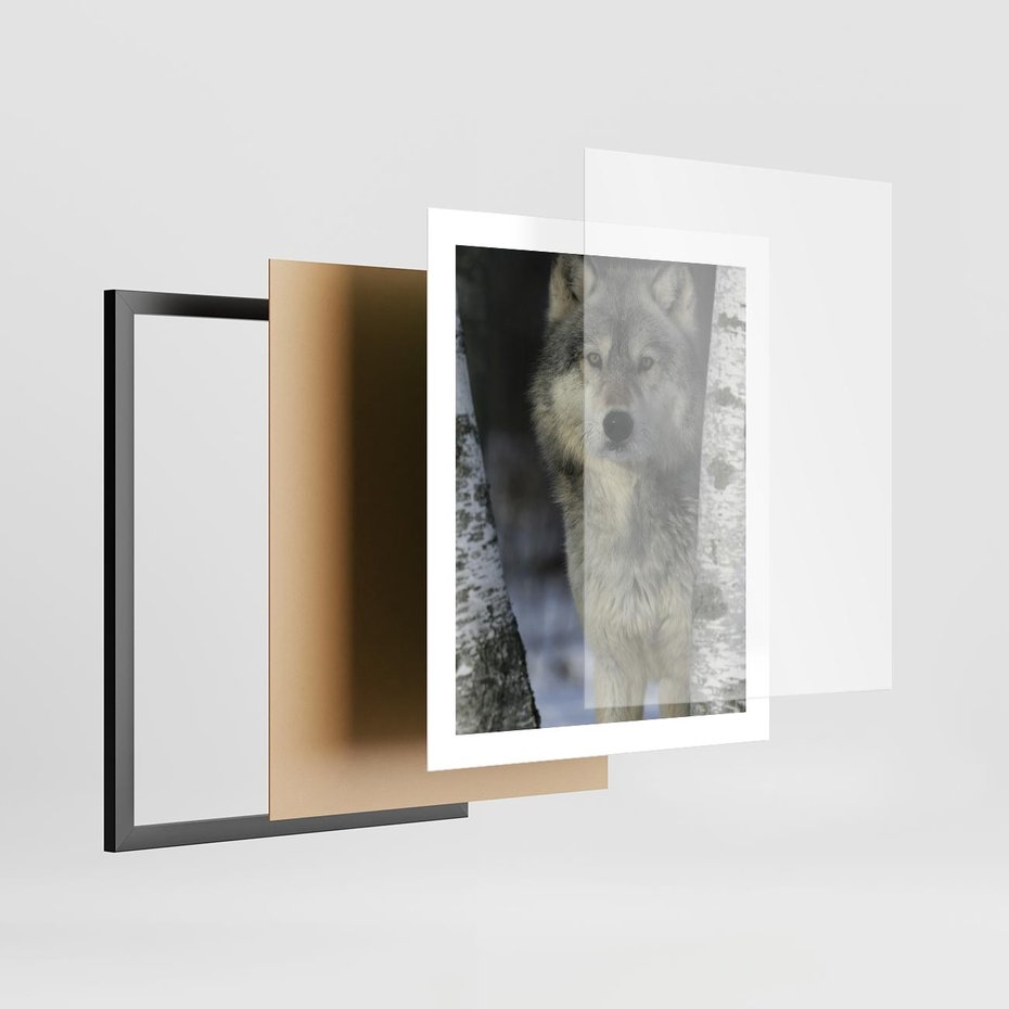 Plakat w ramie 40x50 - Wilk w Zimowym Lesie - wilk, las - rama czarna