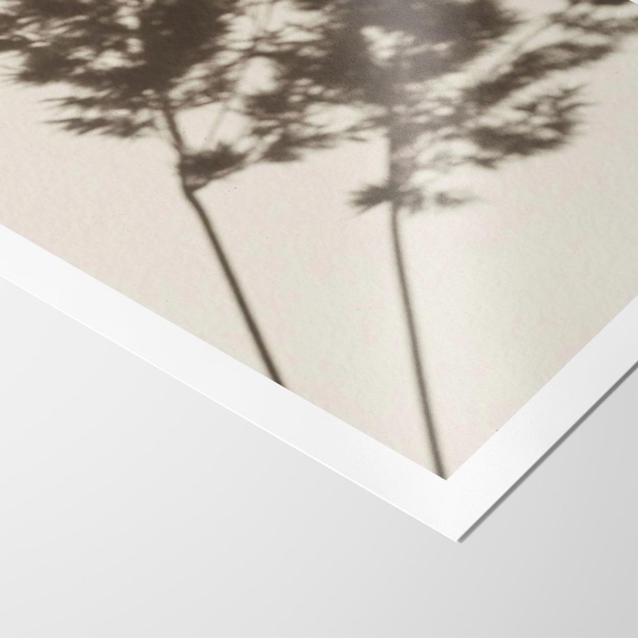 Plakat bez ramy 30x40 - Tajemniczy Cień Traw - cień traw, na ścianie