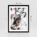 Plakat w ramie 30x40 - Renifer w Zimowej Krainie - renifer, zima - rama czarna