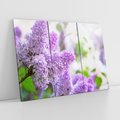 Obraz na płótnie 120x80 - Delikatny liliowy dotyk - lilie, fiolet