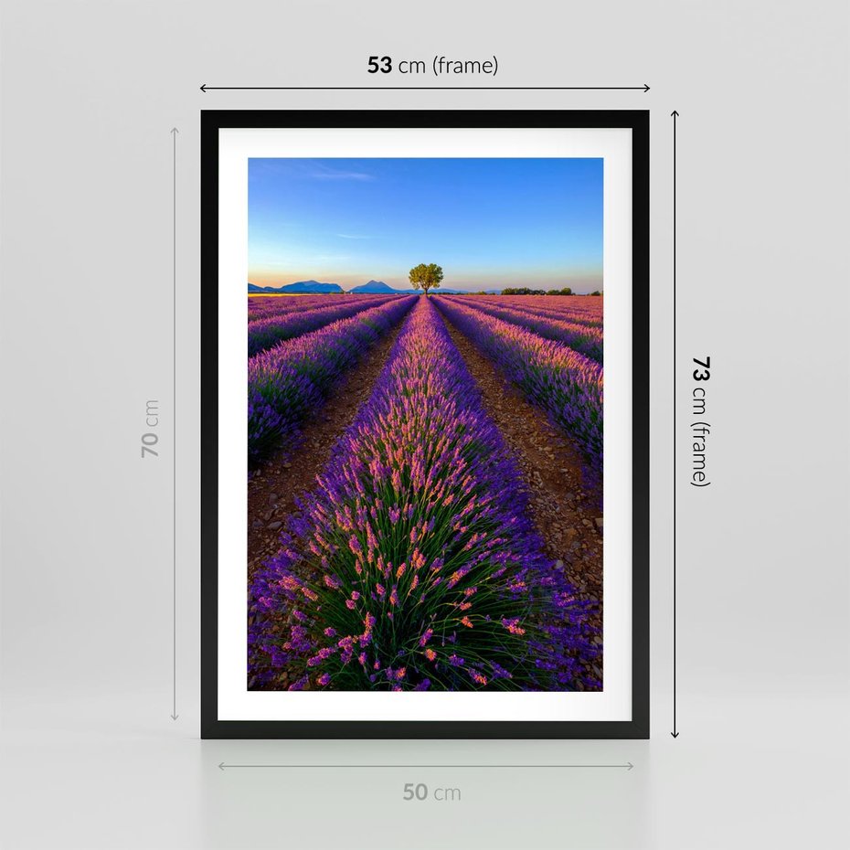 Plakat w ramie 50x70 - Fioletowa Magia - pole, lawendy - rama czarna