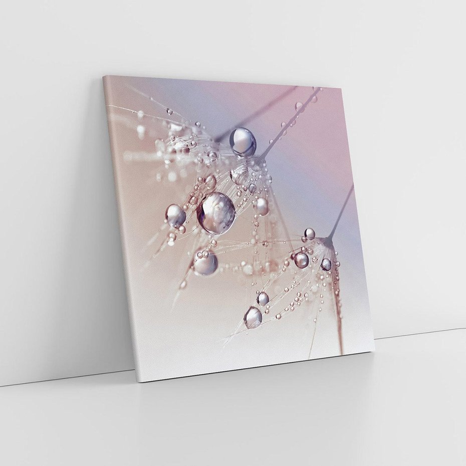 Obraz na płótnie 80x80 - Delikatne Natchnienie - krople, dmuchawce