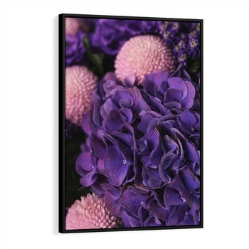 Obraz w ramie 50x70 - Fioletowa hortensja - kwiaty, hortensja - rama czarna