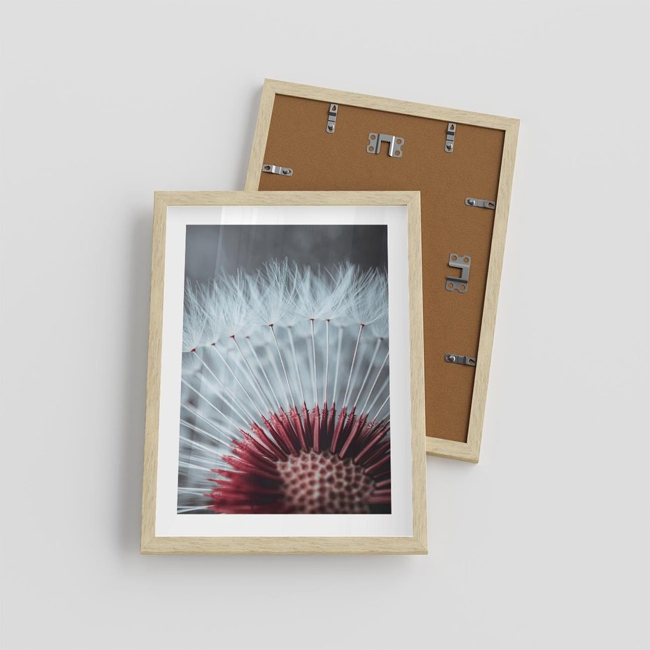 Plakat w ramie 30x40 - Dmuchawiec w Detalu - dmuchawiec, zdjęcie makro - rama drewno