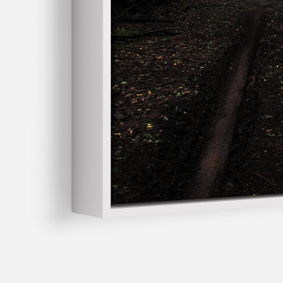 Obraz w ramie 70x100 - Urok Drogi - las, droga - rama biała