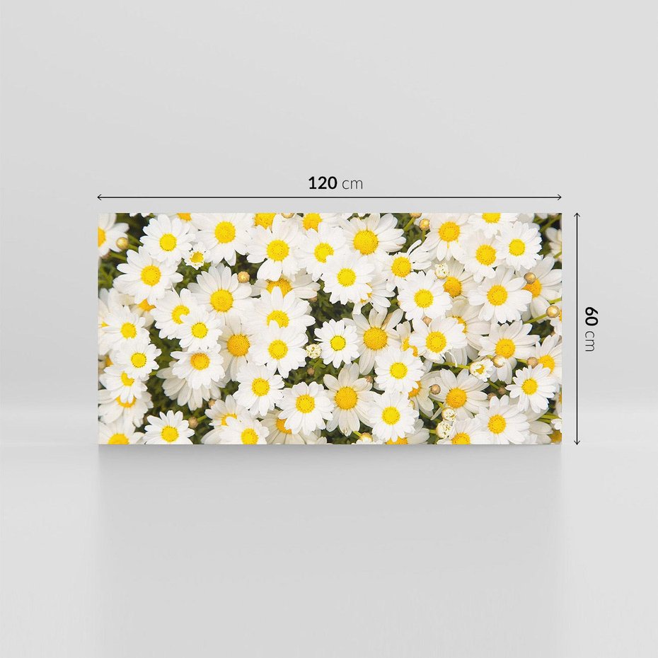 Obraz na płótnie 120x60 - Delikatność Kwiatowej Przyrody - stokrotki, kwiaty