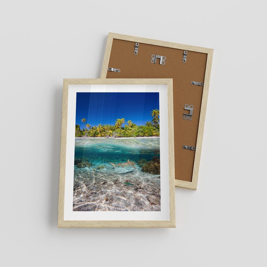 Plakat w ramie 30x40 - Tropikalne Morze i Kolorowa Rafa - tropikalne, morze - rama drewno