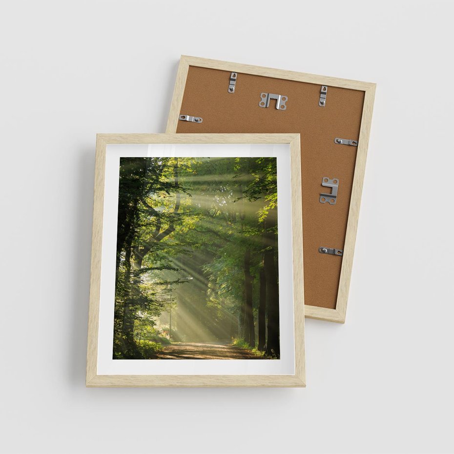 Plakat w ramie 40x50 - harmonia natury - las, drzewa - rama drewno