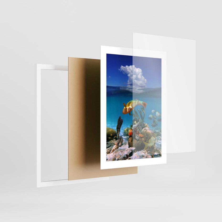 Plakat w ramie 30x40 - Podwodna rafa koralowa: kolorowy oceanowy świat - rafa, koralowa - rama biała