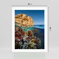 Plakat bez ramy 40x50 - Rafa koralowa w oceanie - rafa, koralowa